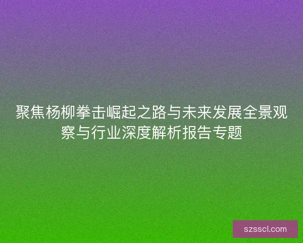 聚焦杨柳拳击崛起之路与未来发展全景观察与行业深度解析报告专题