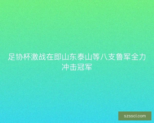 足协杯激战在即山东泰山等八支鲁军全力冲击冠军